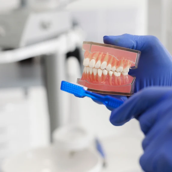 Dr Domingues, dentiste à Tigery 91250 : bien se brosser les dents et préserver ses gencives