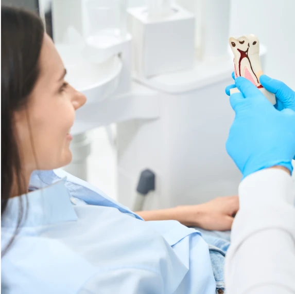 Docteur Domingues, dentiste à Tigery : conseils après un traitement endodontique